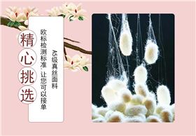 山東真絲絲巾定制廠家—真絲圍巾、真絲絲巾、圍巾定制