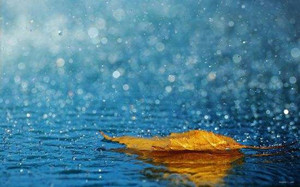雨